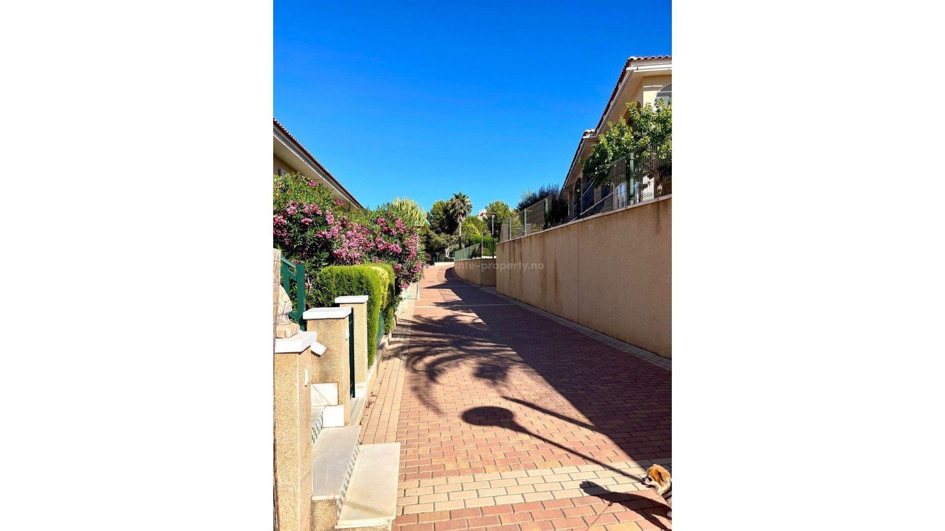 Apartment / flat in Gran Alacant