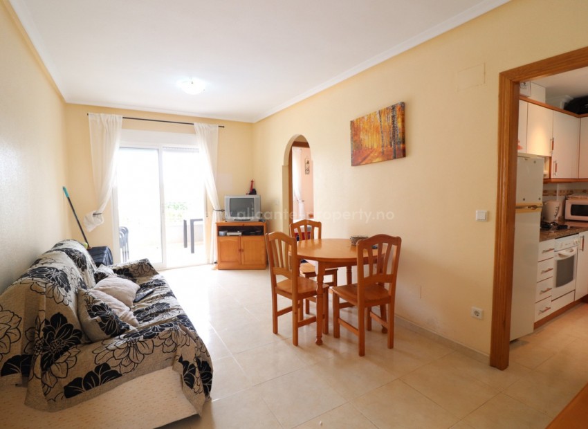 Apartment / flat in Guardamar del Segura Centro
