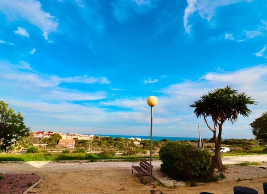 Apartment / flat in Guardamar del Segura Centro