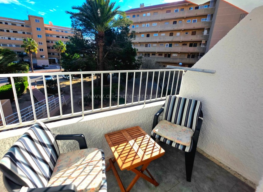 Apartment / flat in Guardamar del Segura Centro