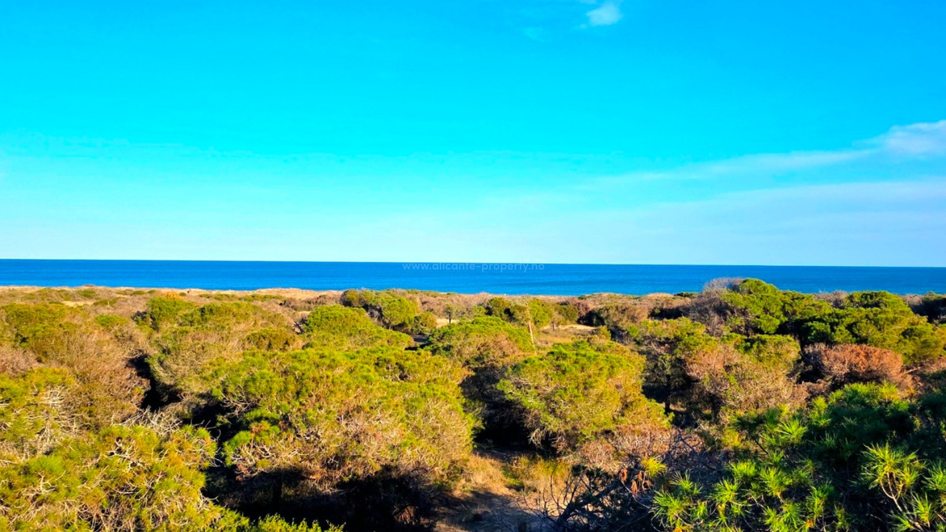 Apartment / flat in Guardamar del Segura Centro