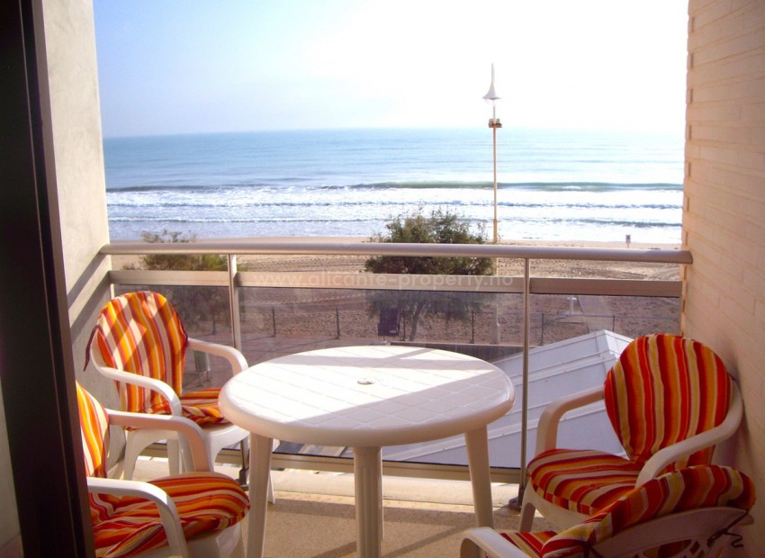 Apartment / flat in Guardamar del Segura Centro