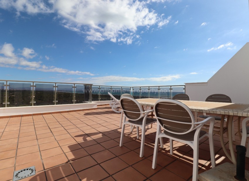 Apartment / flat in Guardamar del Segura Centro