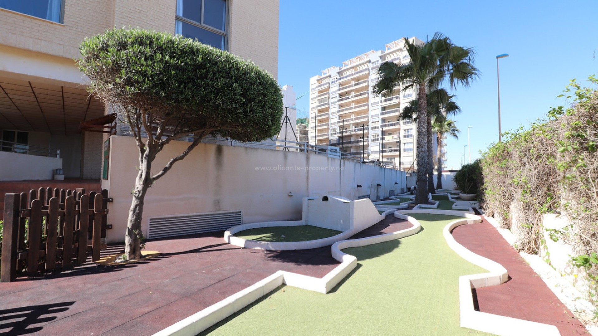 Apartment / flat in Guardamar del Segura Centro