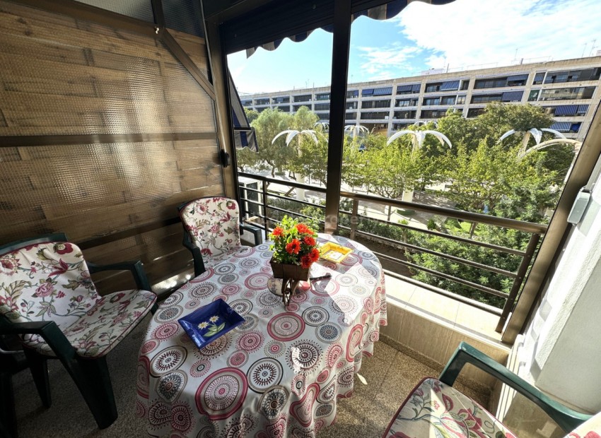 Apartment / flat in Guardamar del Segura Centro