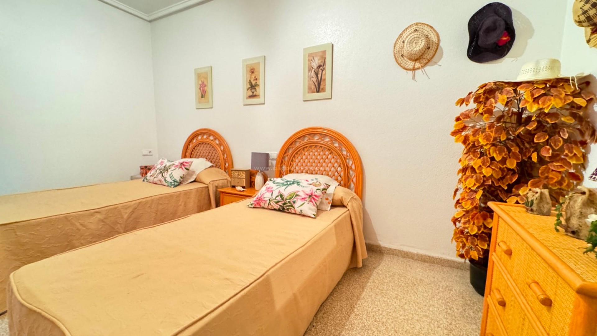 Apartment / flat in Guardamar del Segura Centro
