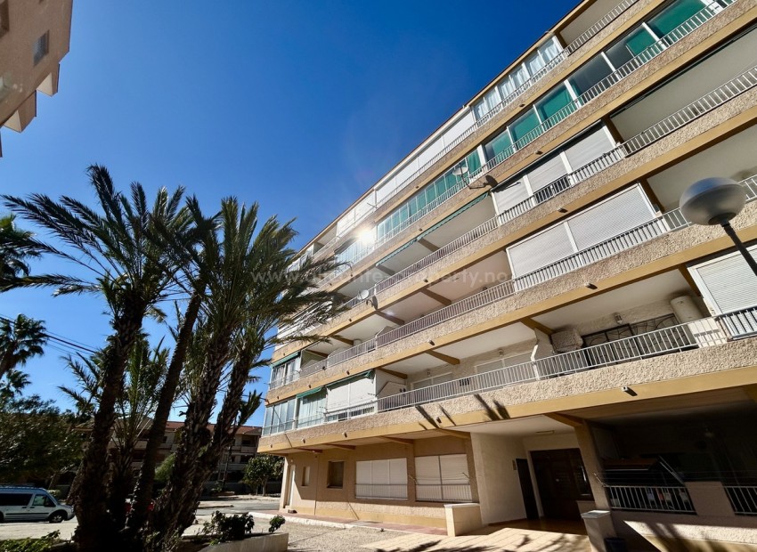 Apartment / flat in Guardamar del Segura Centro