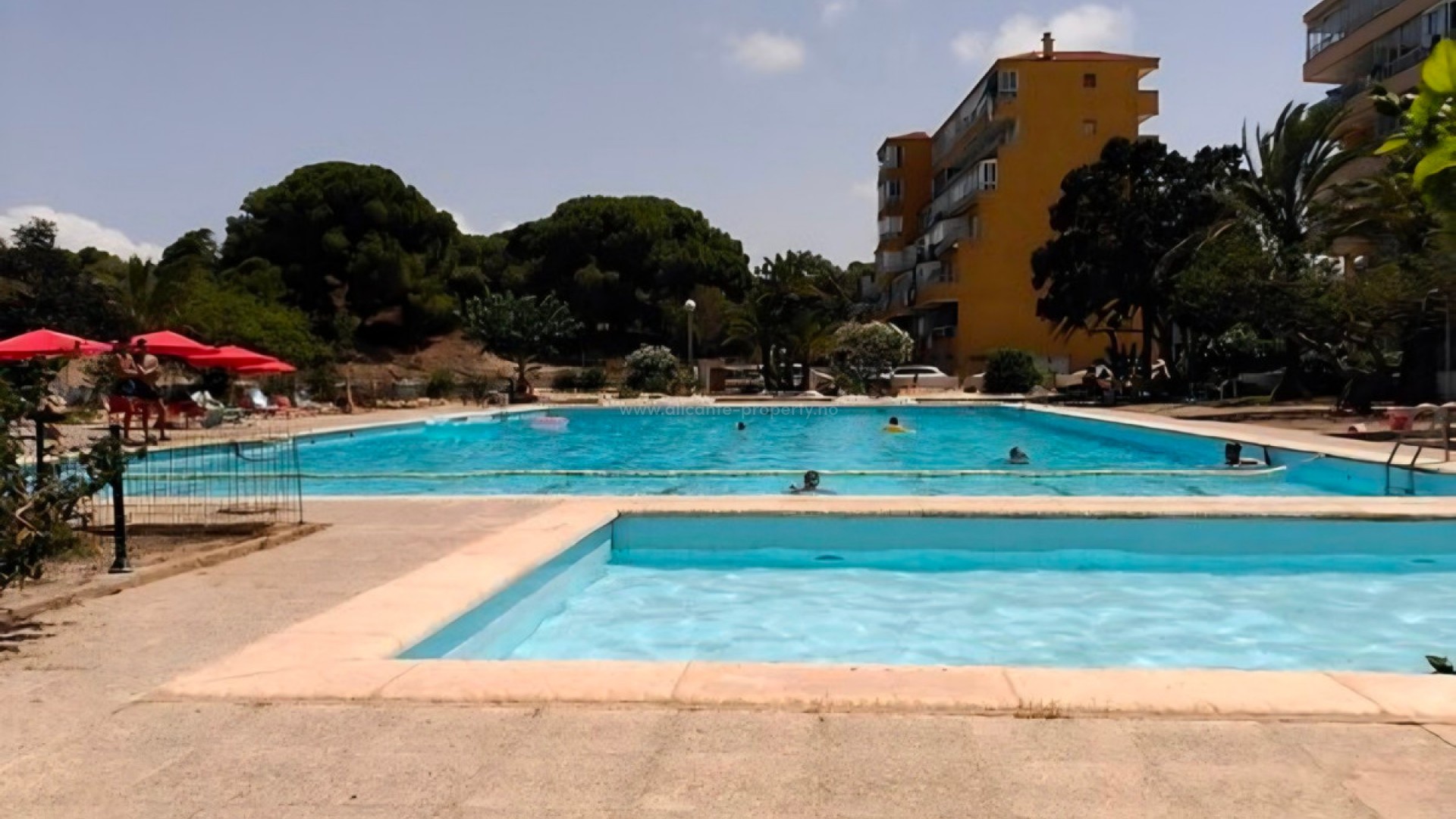 Apartment / flat in Guardamar del Segura Centro