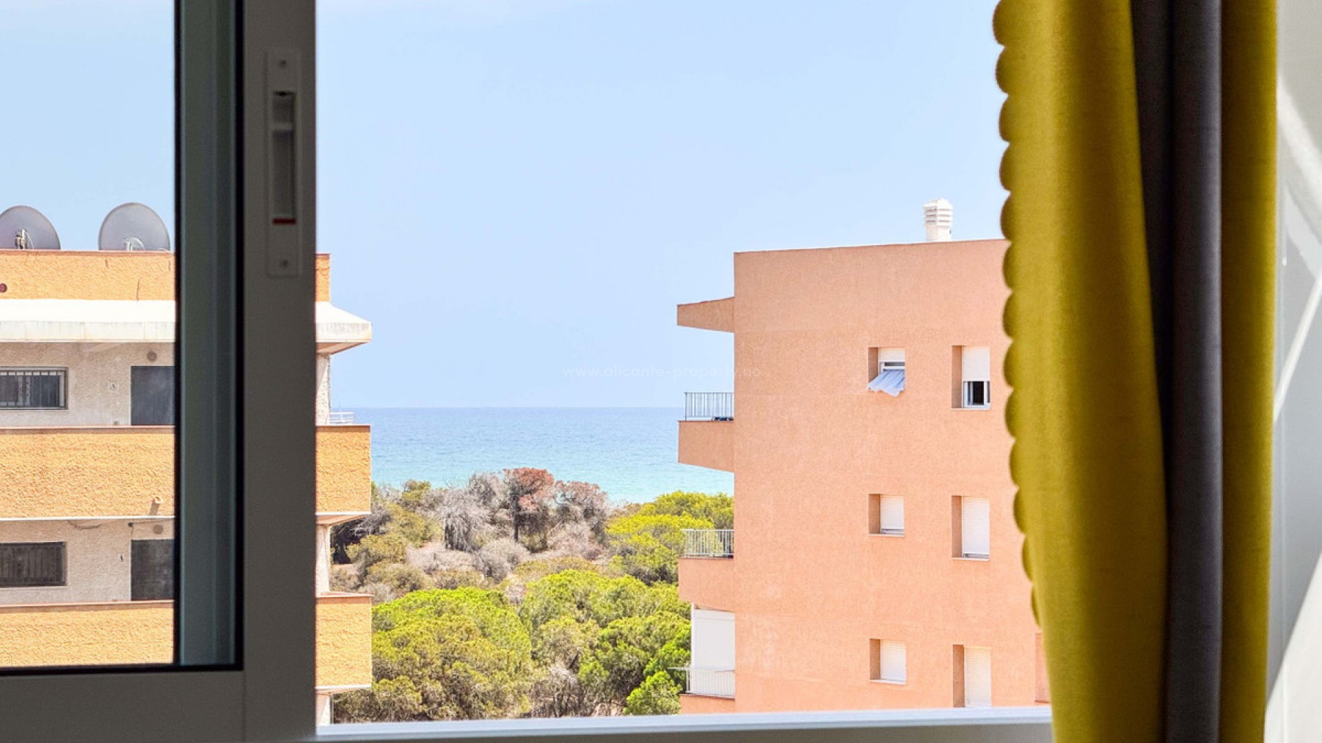 Apartment / flat in Guardamar del Segura Centro