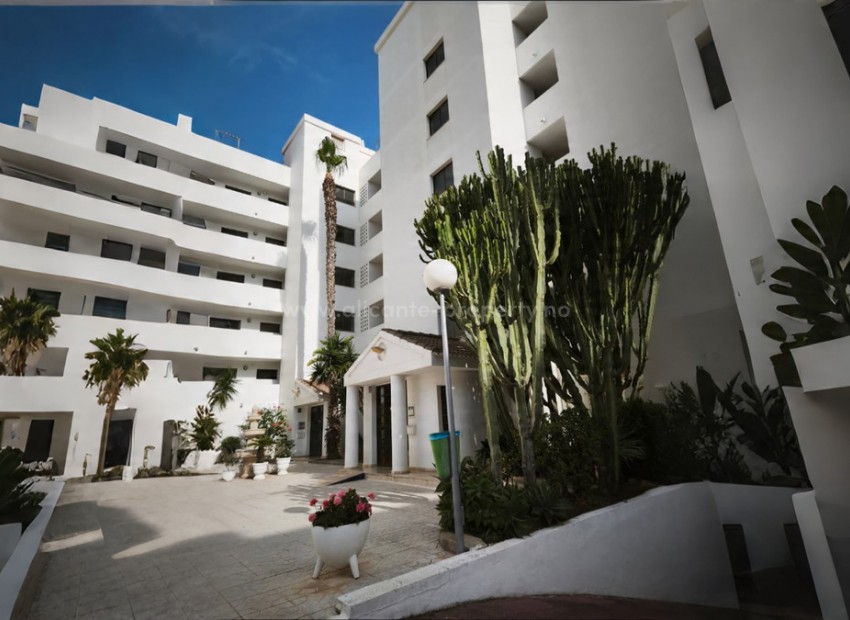 Apartment / flat in Guardamar del Segura Centro