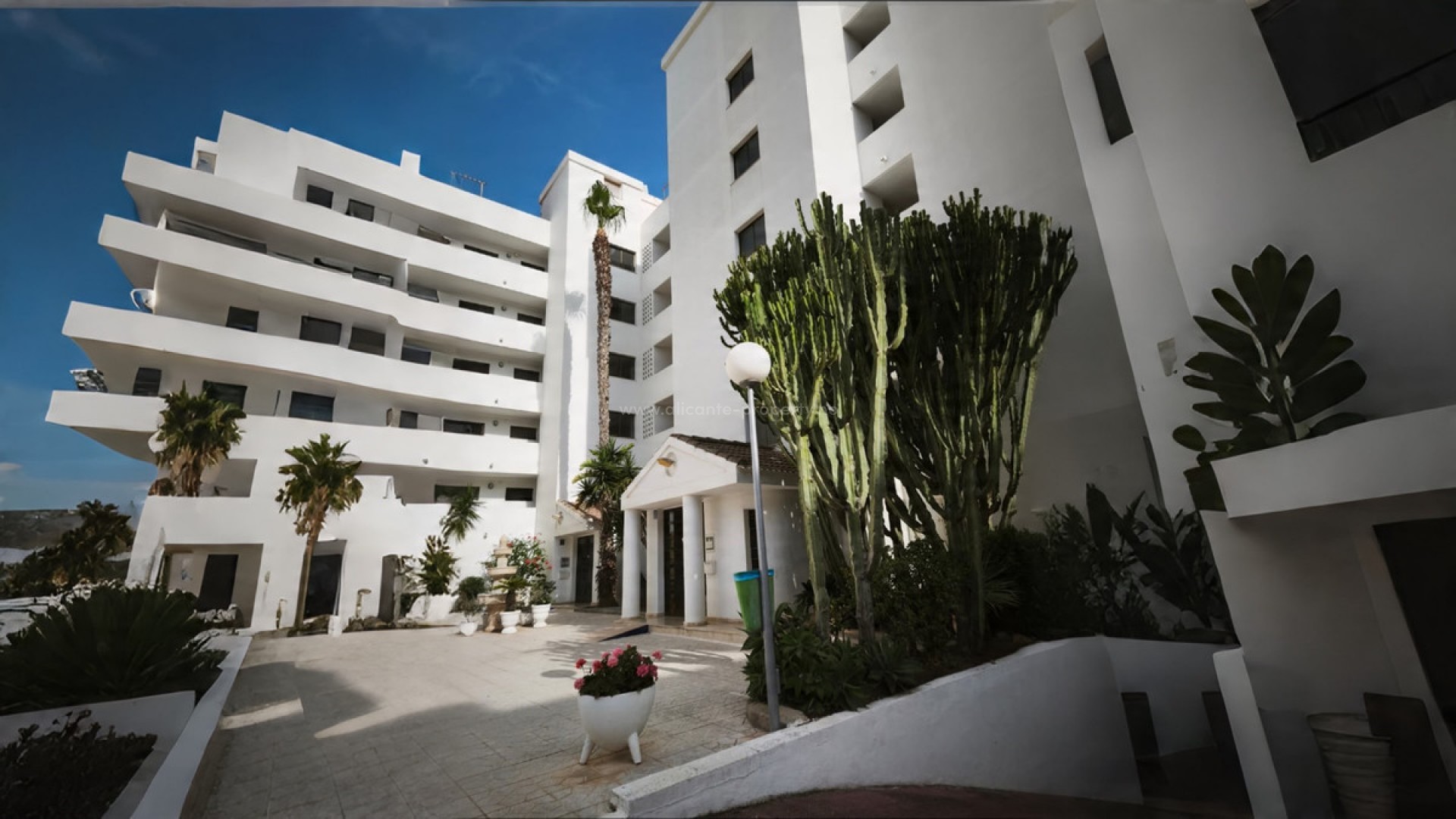 Apartment / flat in Guardamar del Segura Centro