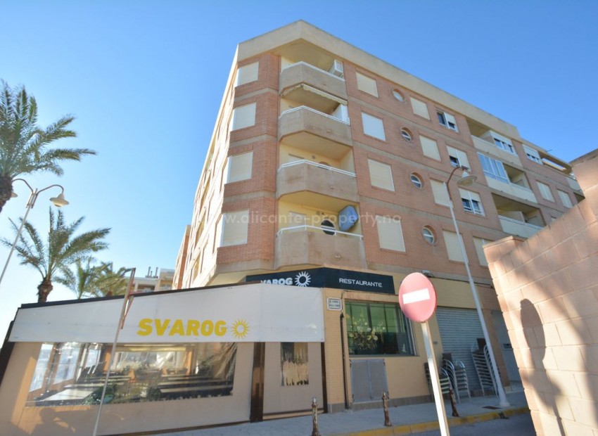 Apartment / flat in Guardamar del Segura Centro