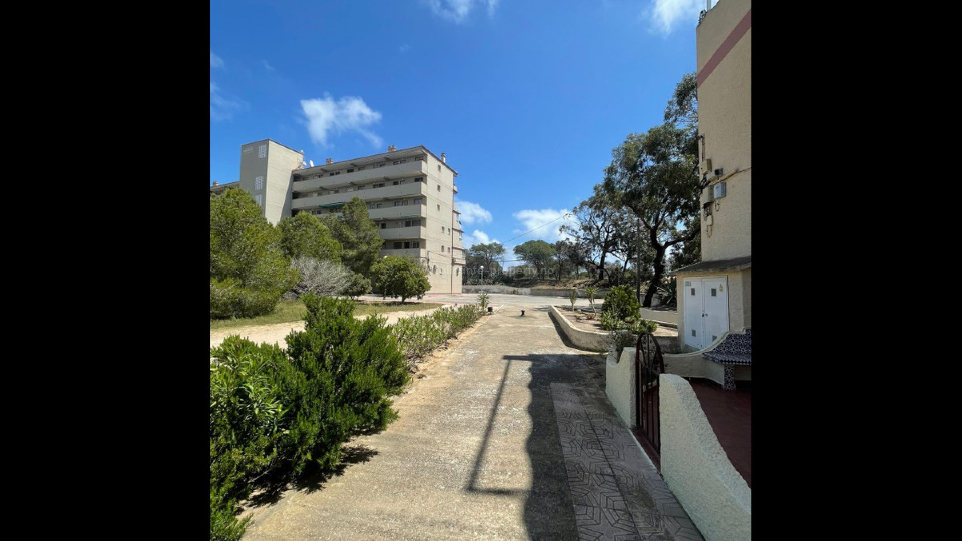 Apartment / flat in Guardamar del Segura Centro