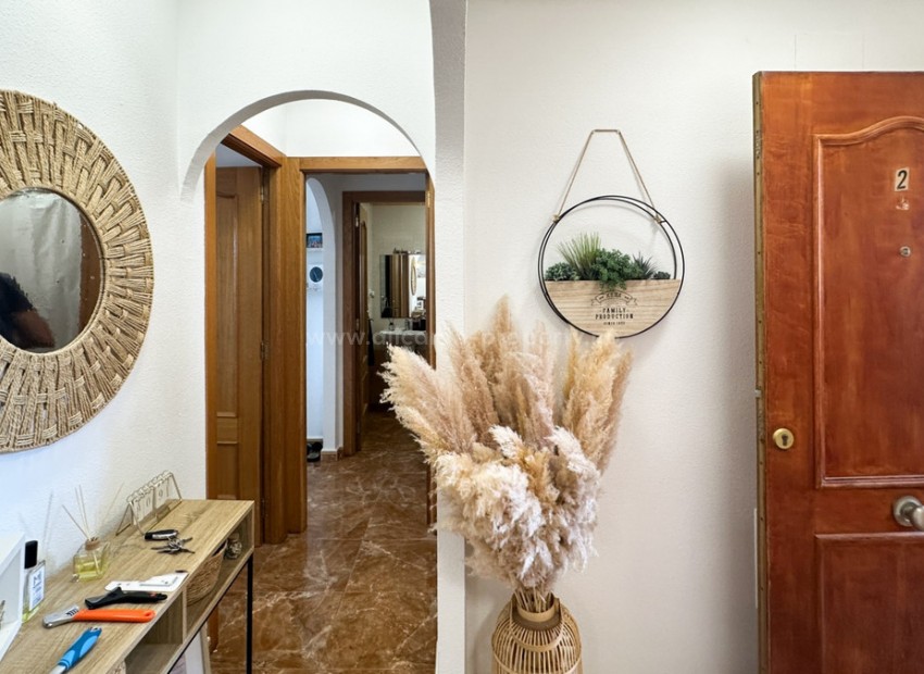 Apartment / flat in Guardamar del Segura Centro