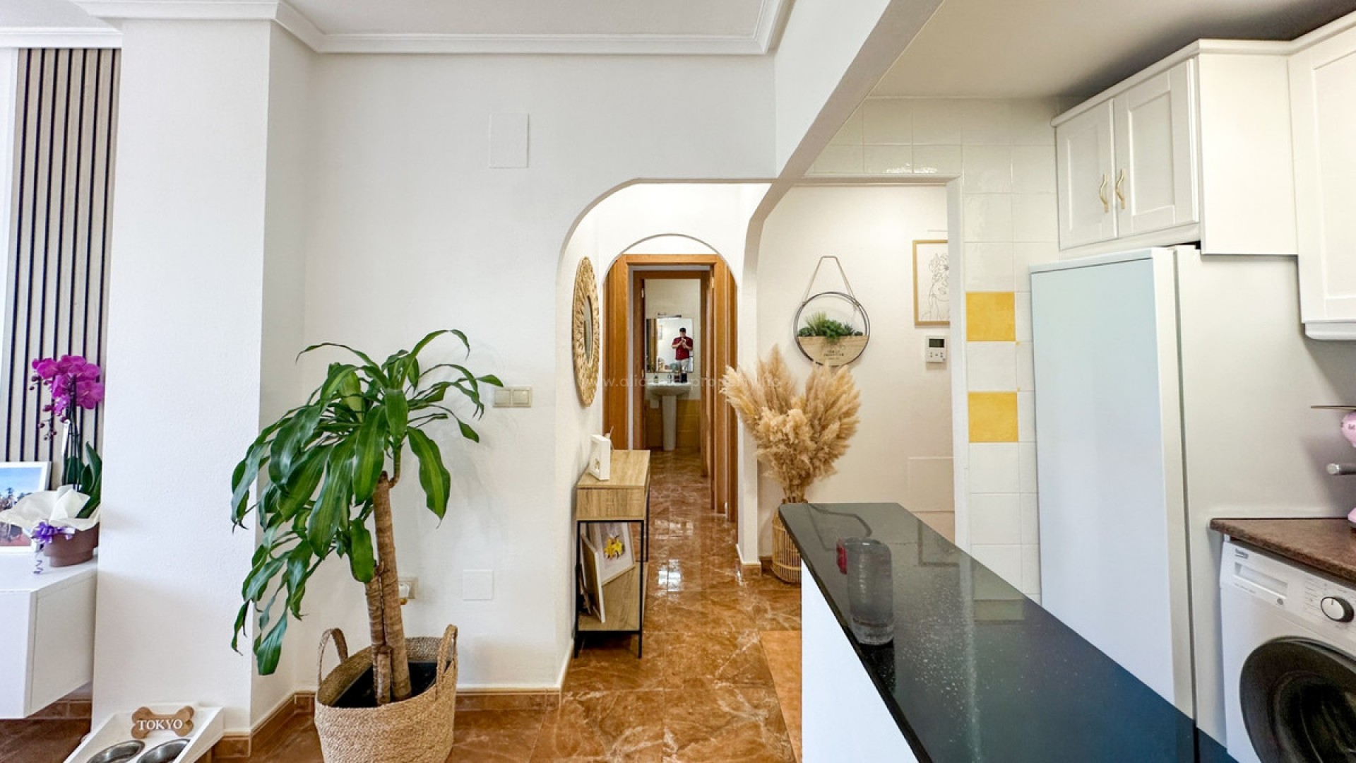 Apartment / flat in Guardamar del Segura Centro