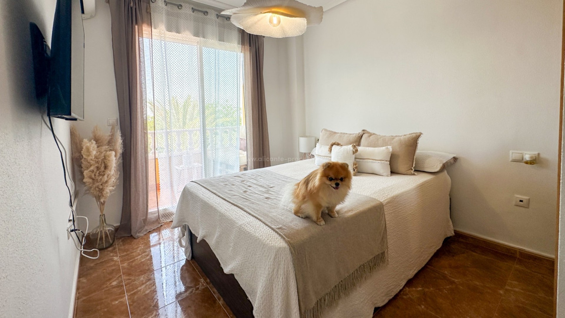 Apartment / flat in Guardamar del Segura Centro