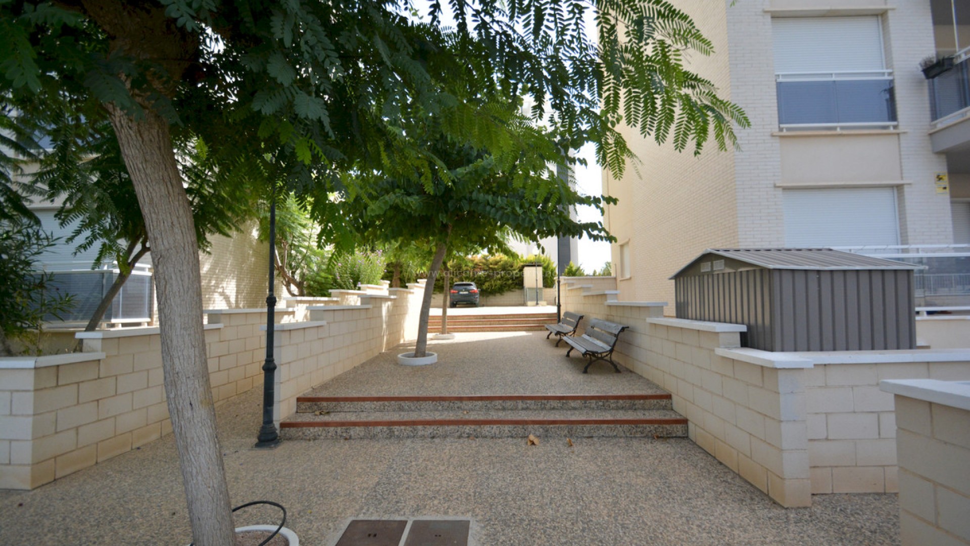 Apartment / flat in Guardamar del Segura Centro