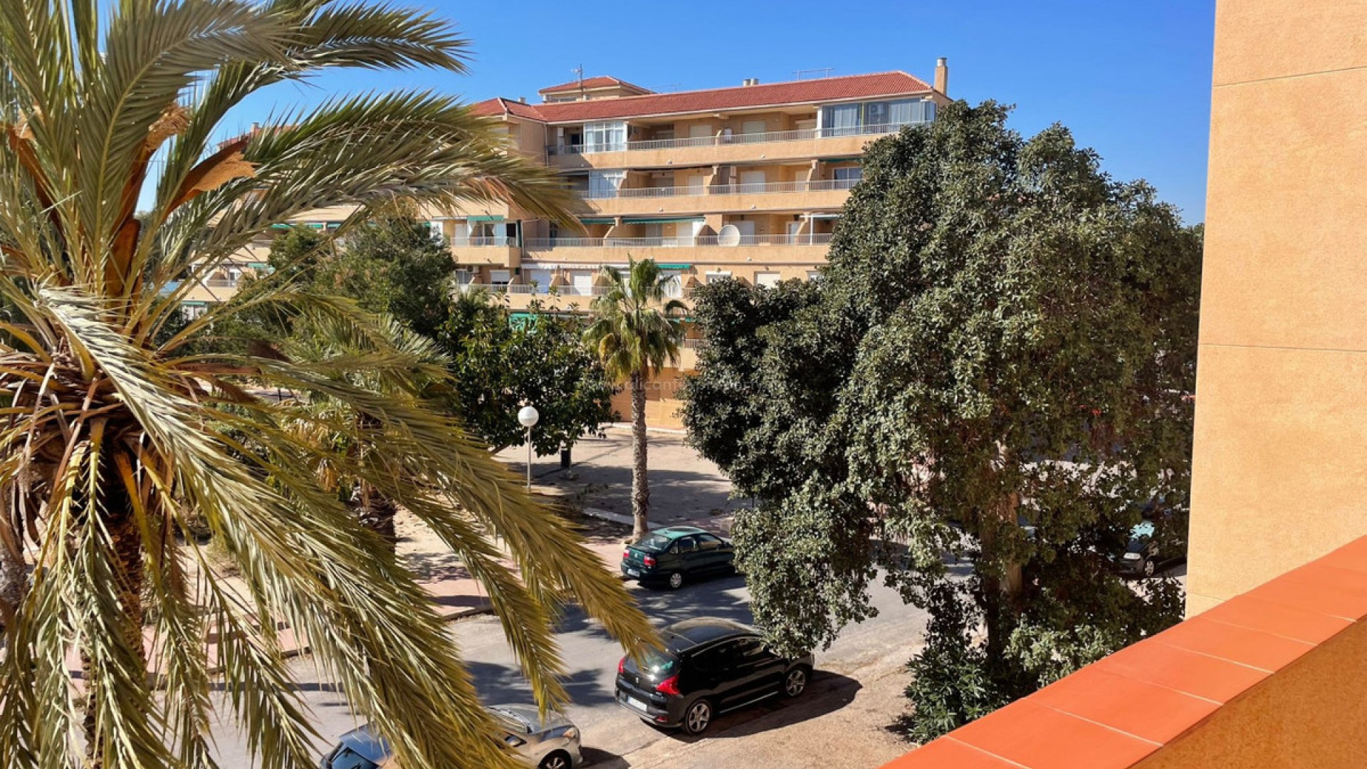 Apartment / flat in Guardamar del Segura Centro