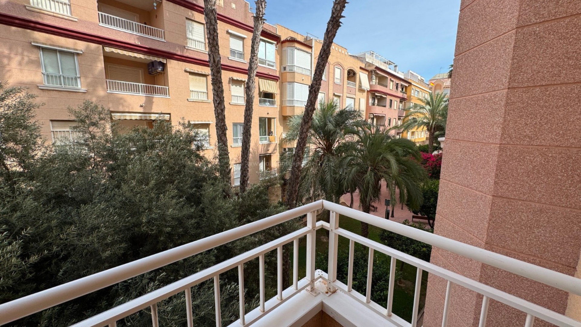 Apartment / flat in Guardamar del Segura Centro