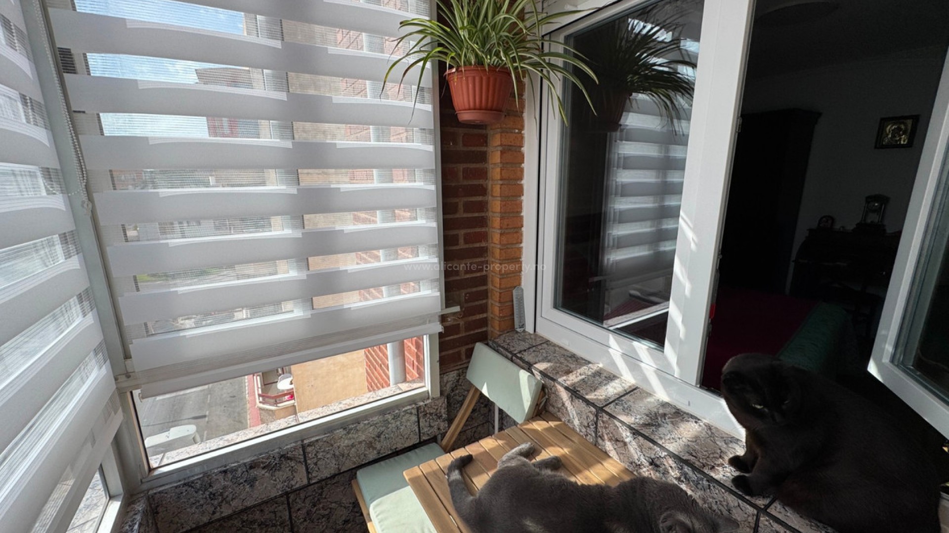 Apartment / flat in Guardamar del Segura Centro