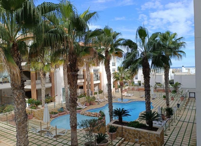 Apartment / flat in Guardamar del Segura Centro