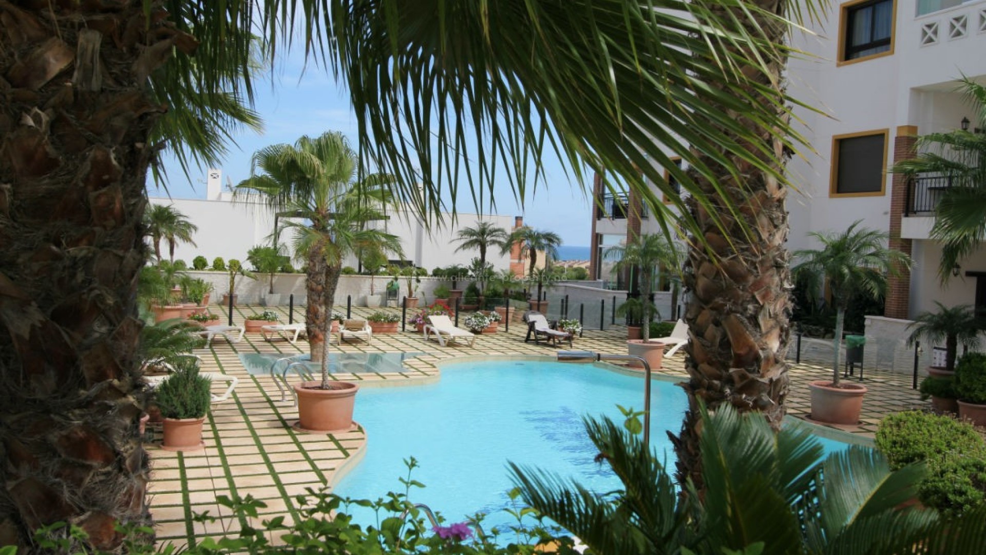 Apartment / flat in Guardamar del Segura Centro