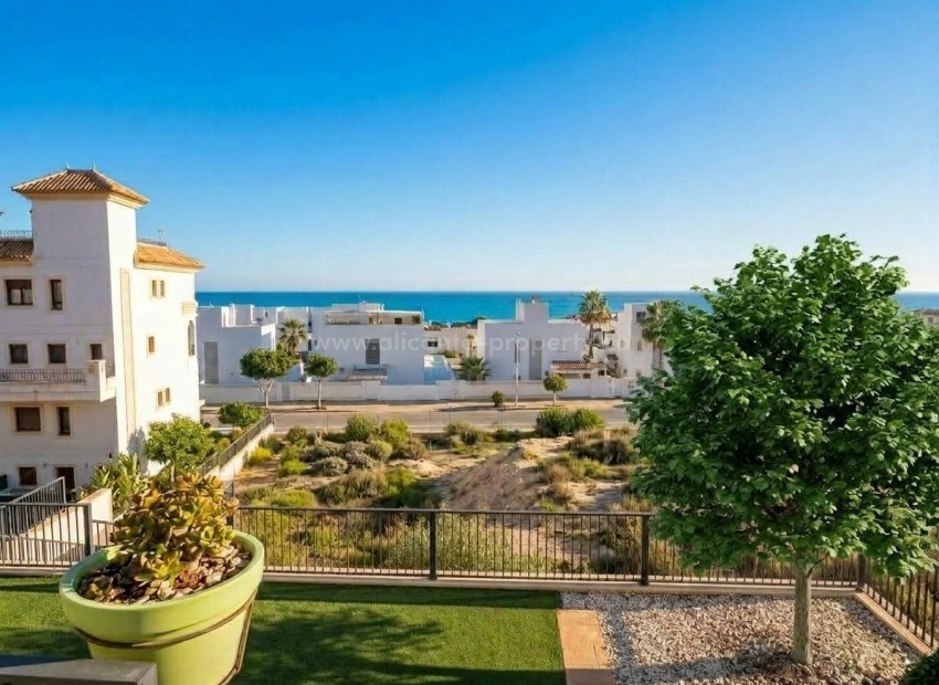 Apartment / flat in Guardamar del Segura Centro