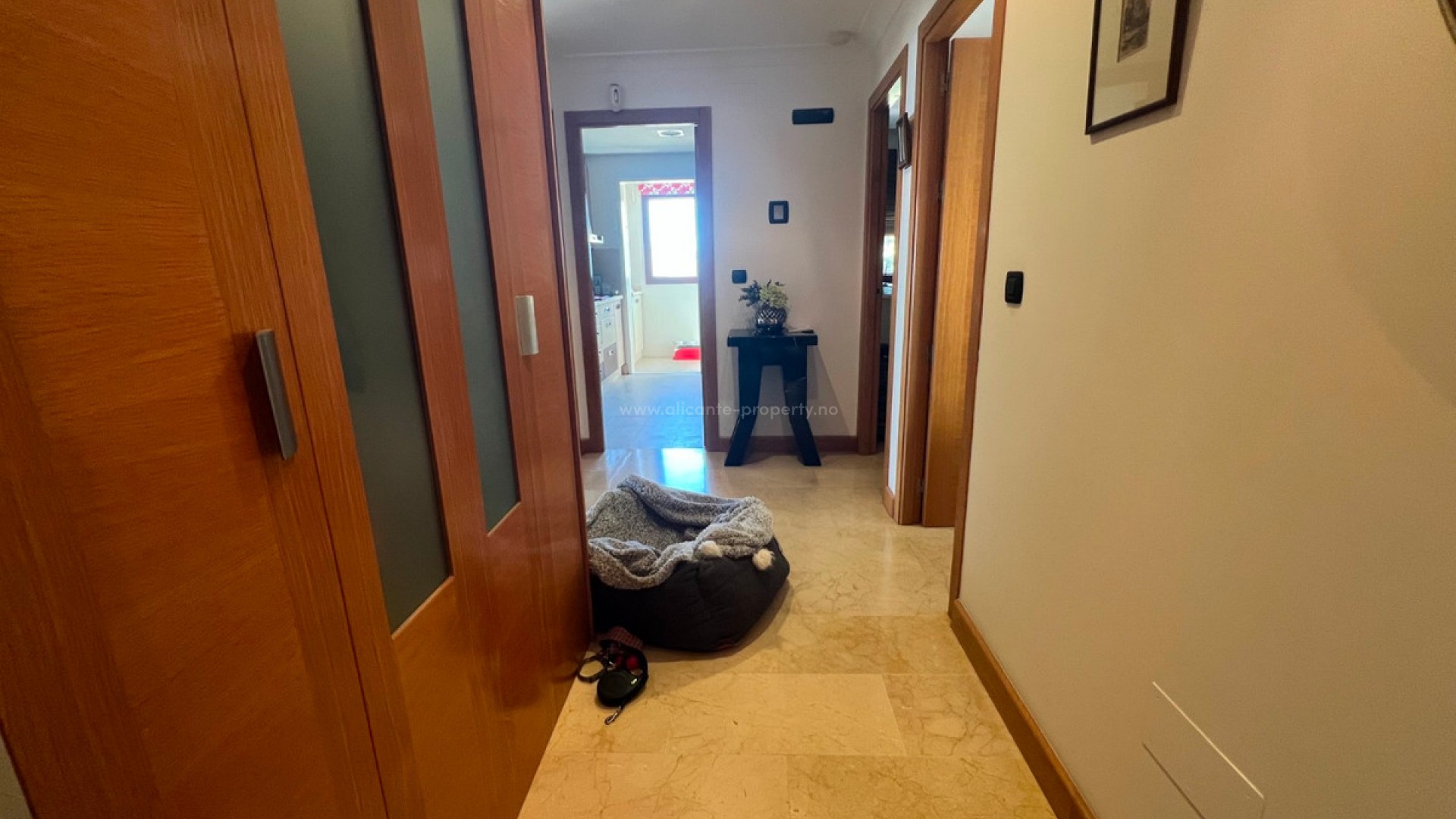 Apartment / flat in Guardamar del Segura Centro