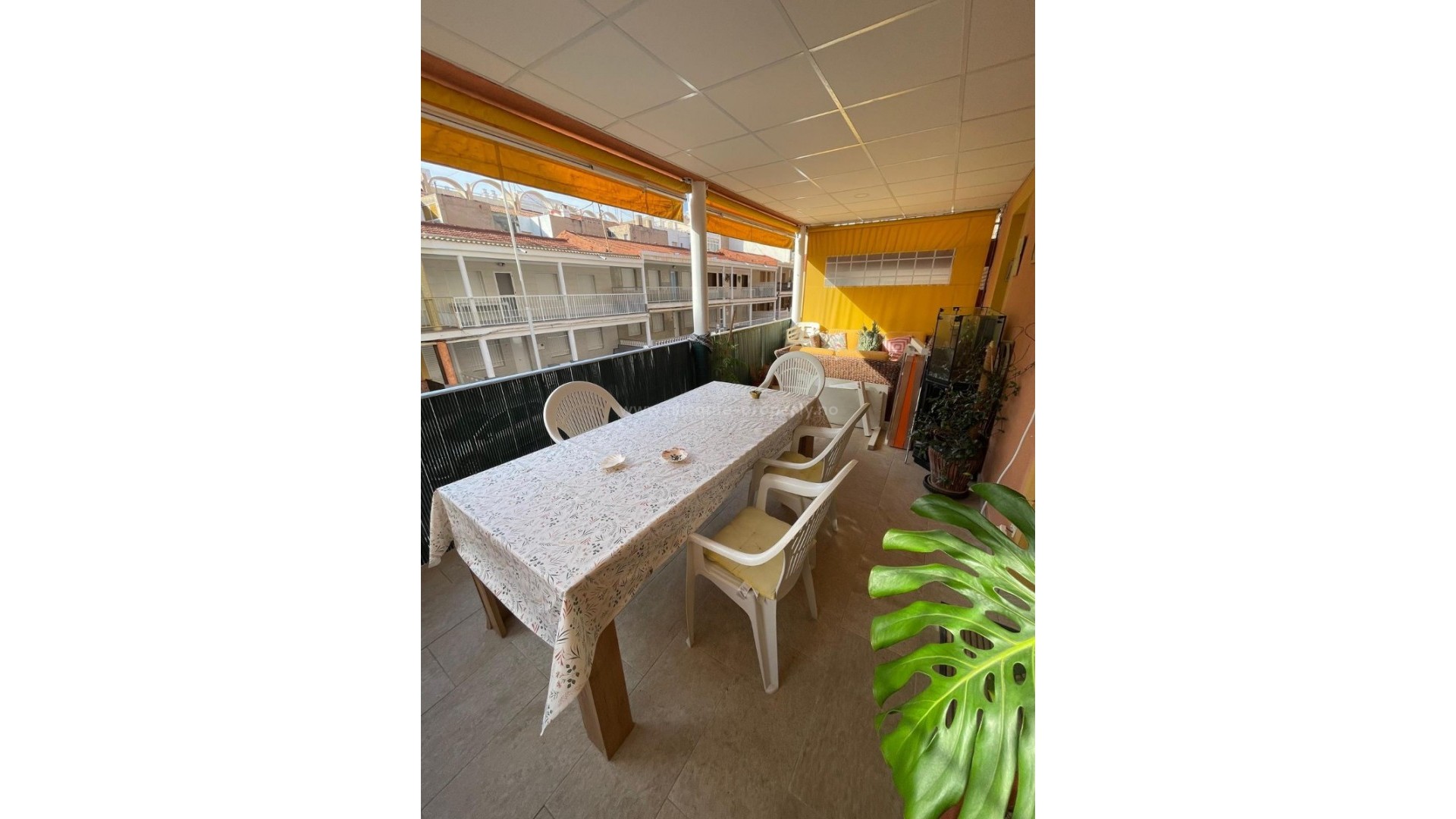 Apartment / flat in Guardamar del Segura Centro