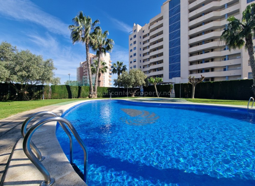 Apartment / flat in Guardamar del Segura