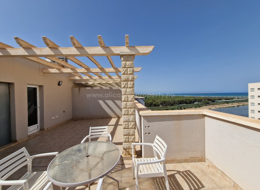 Apartment / flat in Guardamar del Segura