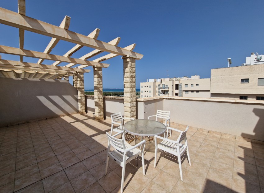 Apartment / flat in Guardamar del Segura