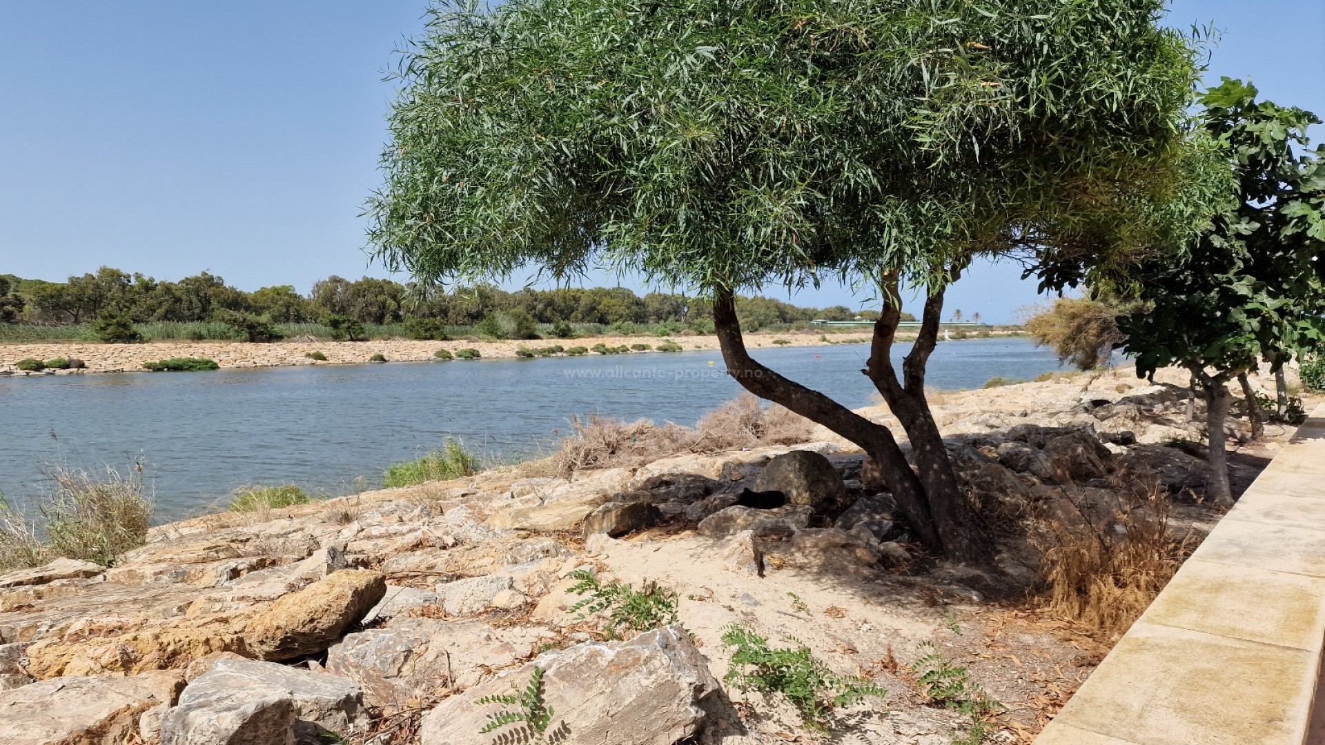 Apartment / flat in Guardamar del Segura