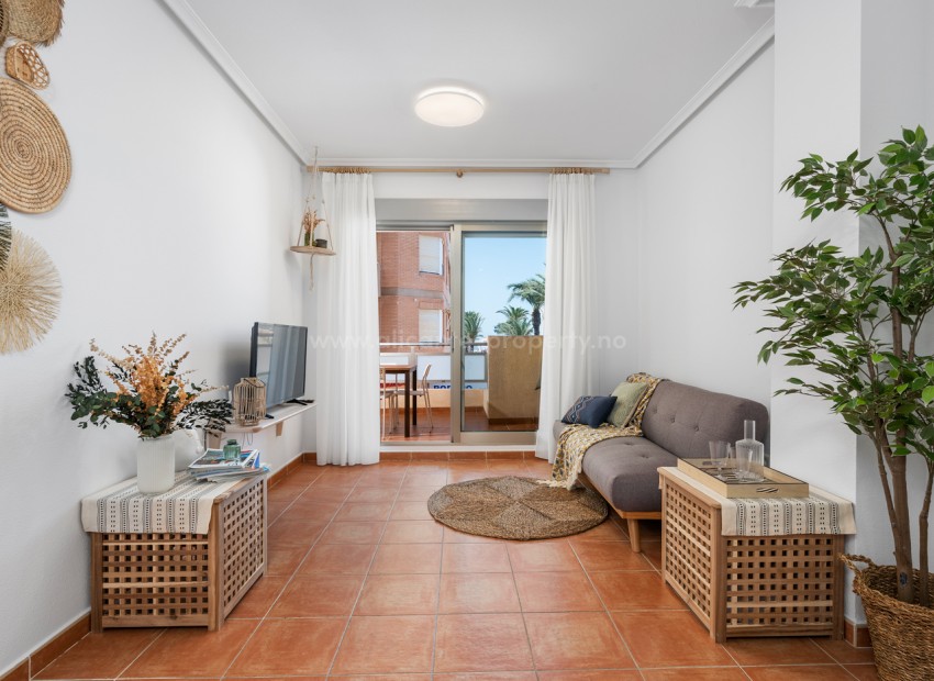 Apartment / flat in Guardamar del Segura