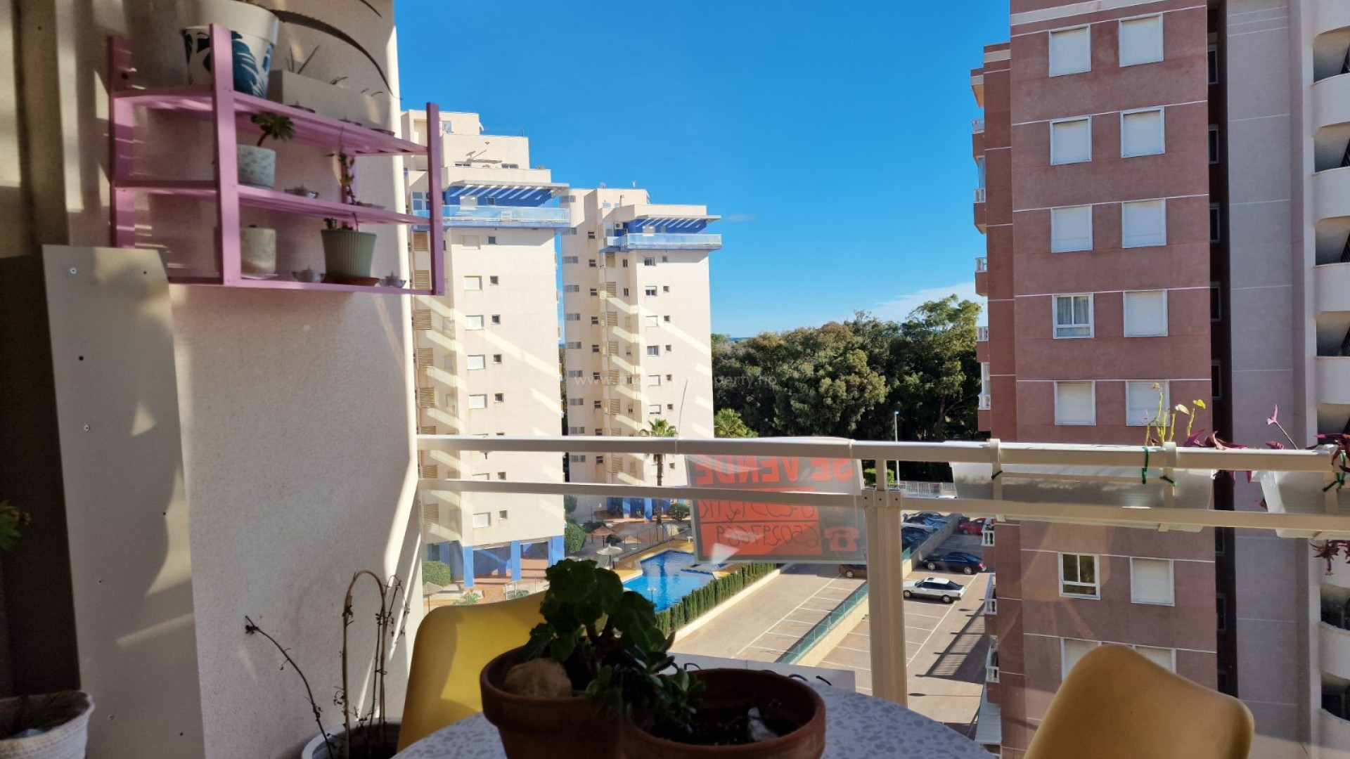 Apartment / flat in Guardamar del Segura