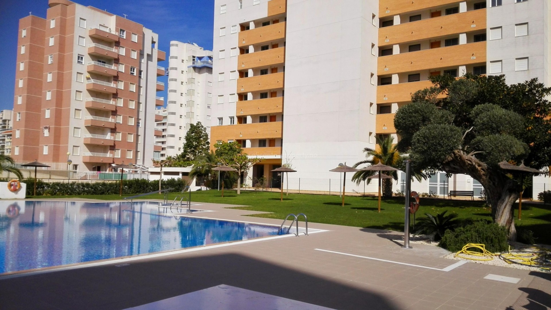 Apartment / flat in Guardamar del Segura