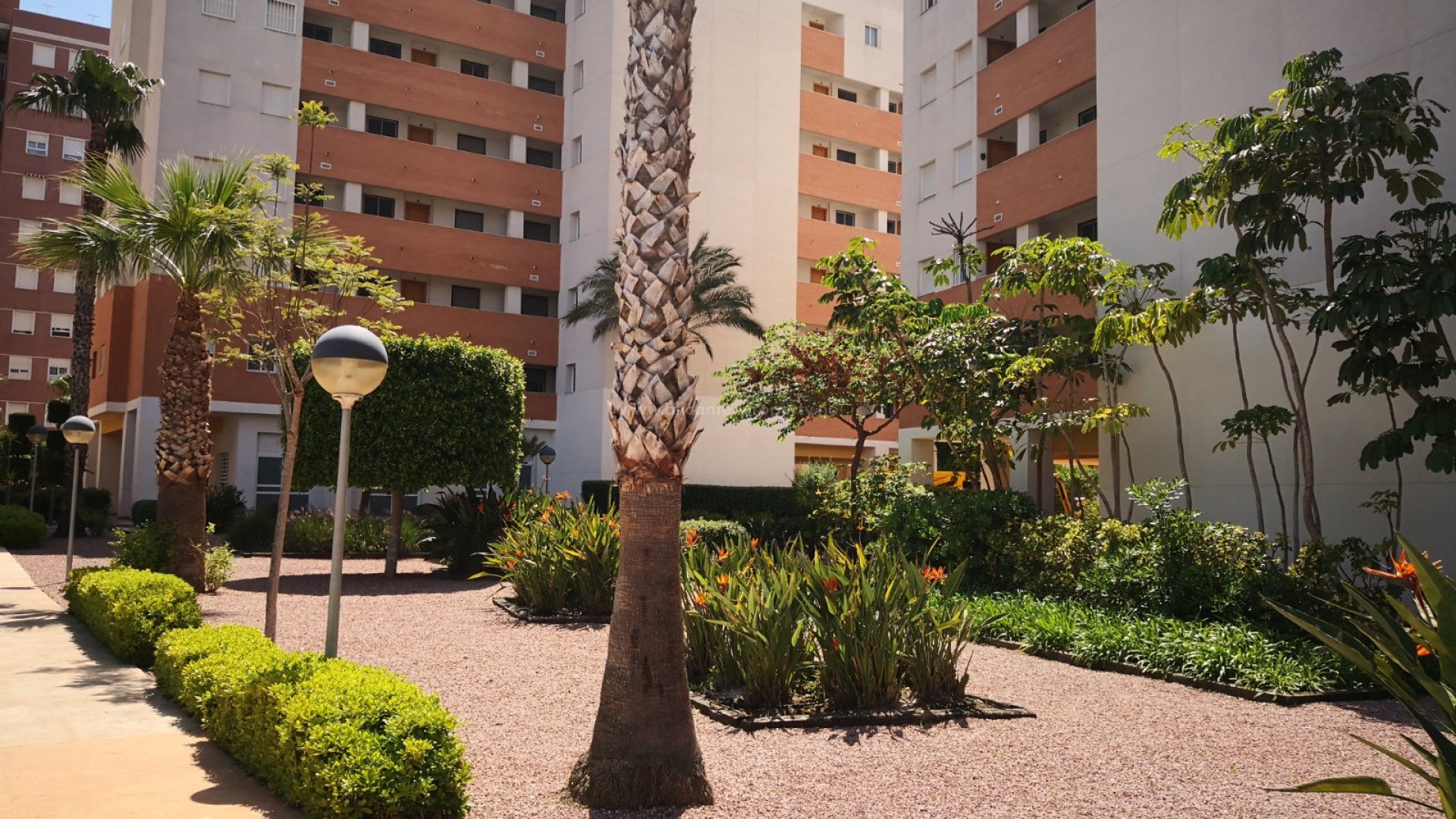 Apartment / flat in Guardamar del Segura