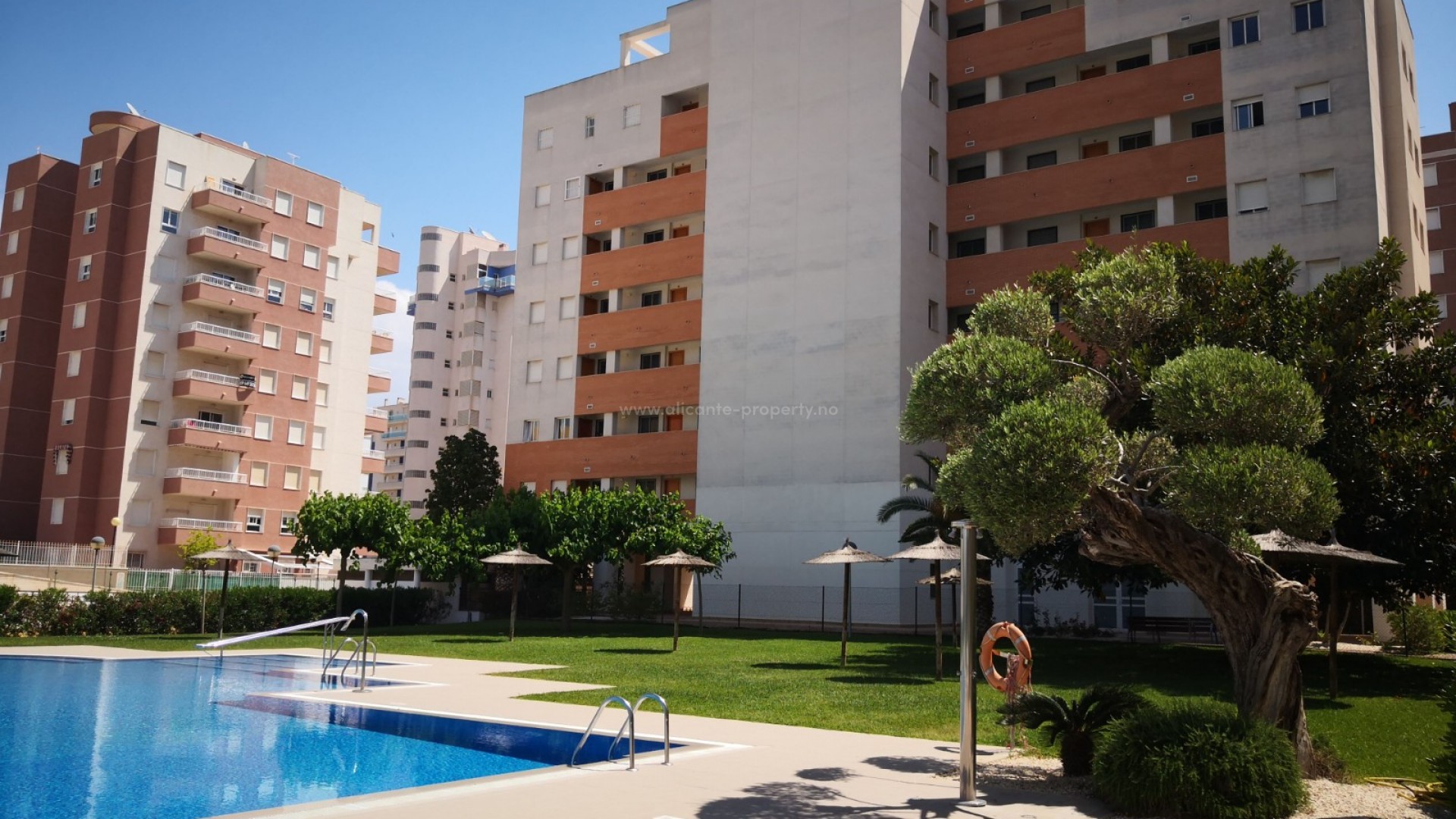 Apartment / flat in Guardamar del Segura