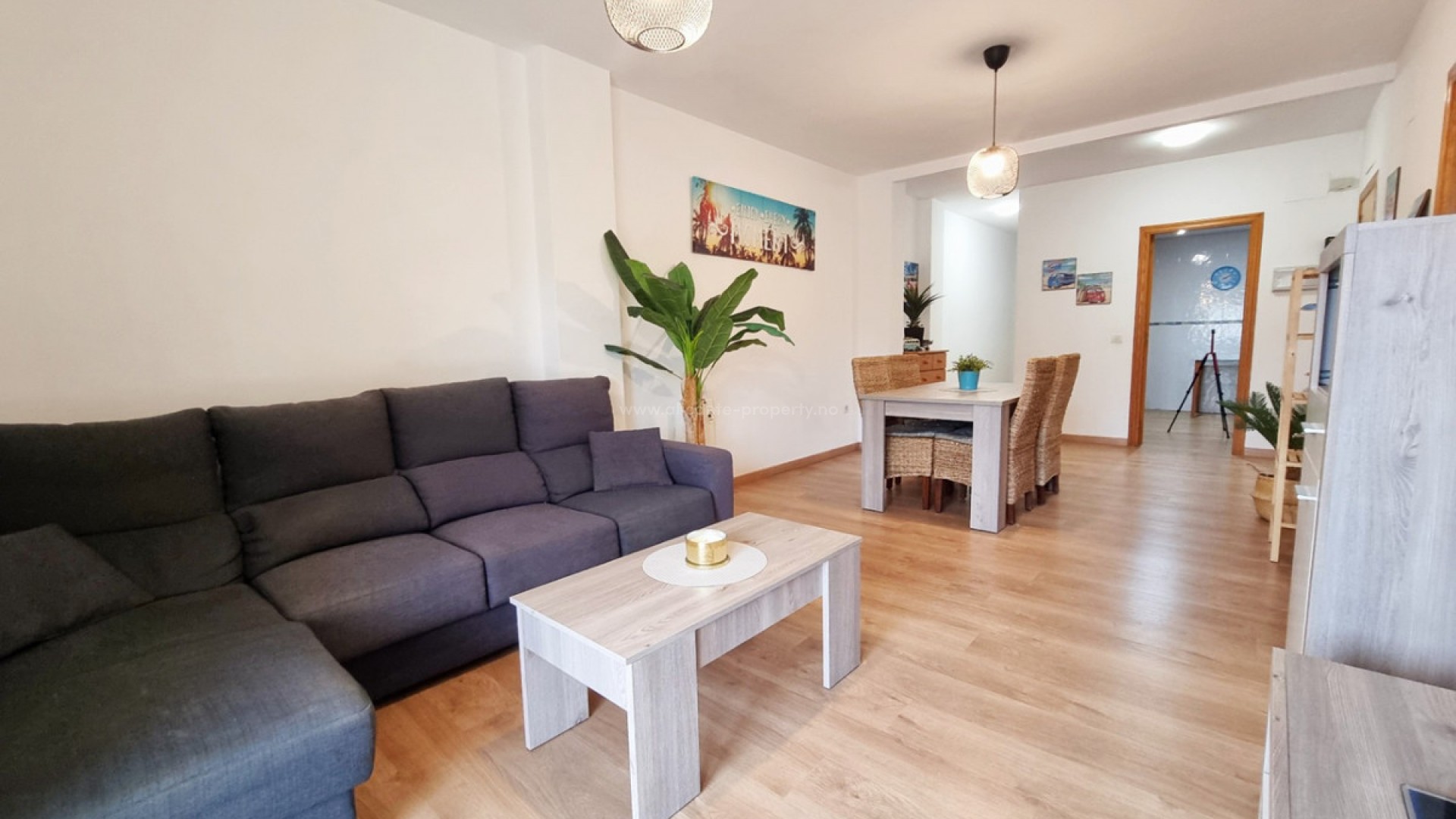 Apartment / flat in Jalon Centro