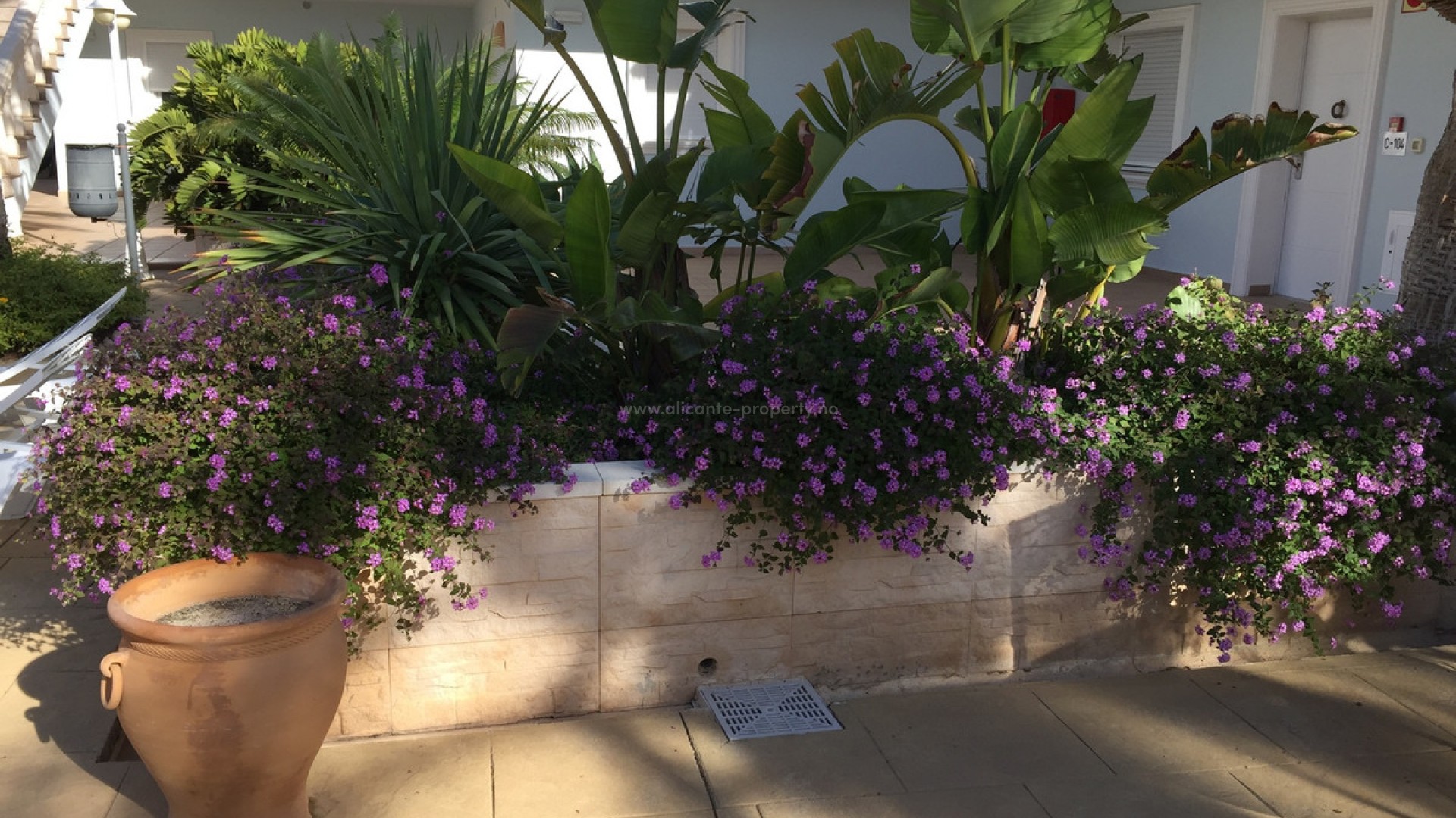 Apartment / flat in La Fustera