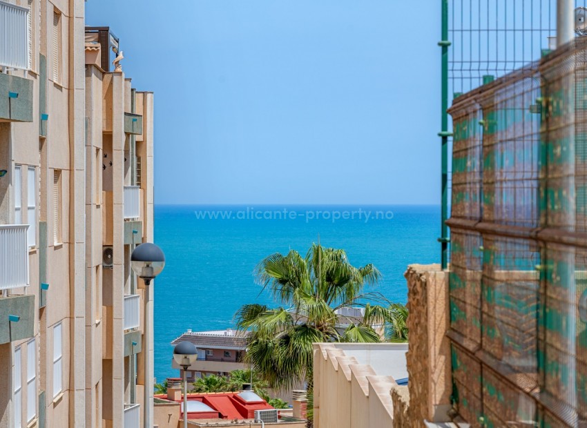Apartment / flat in La Mata