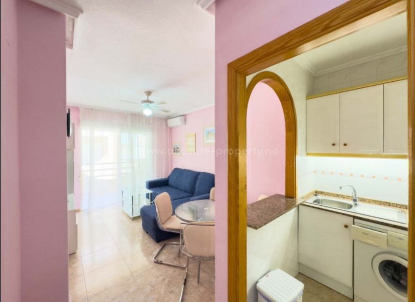 Apartment / flat in La Mata