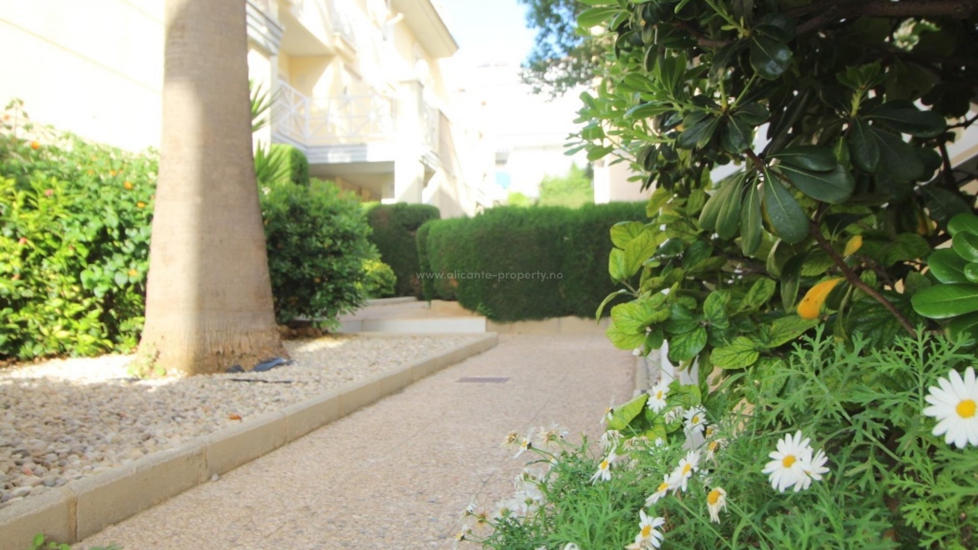 Apartment / flat in La Veleta