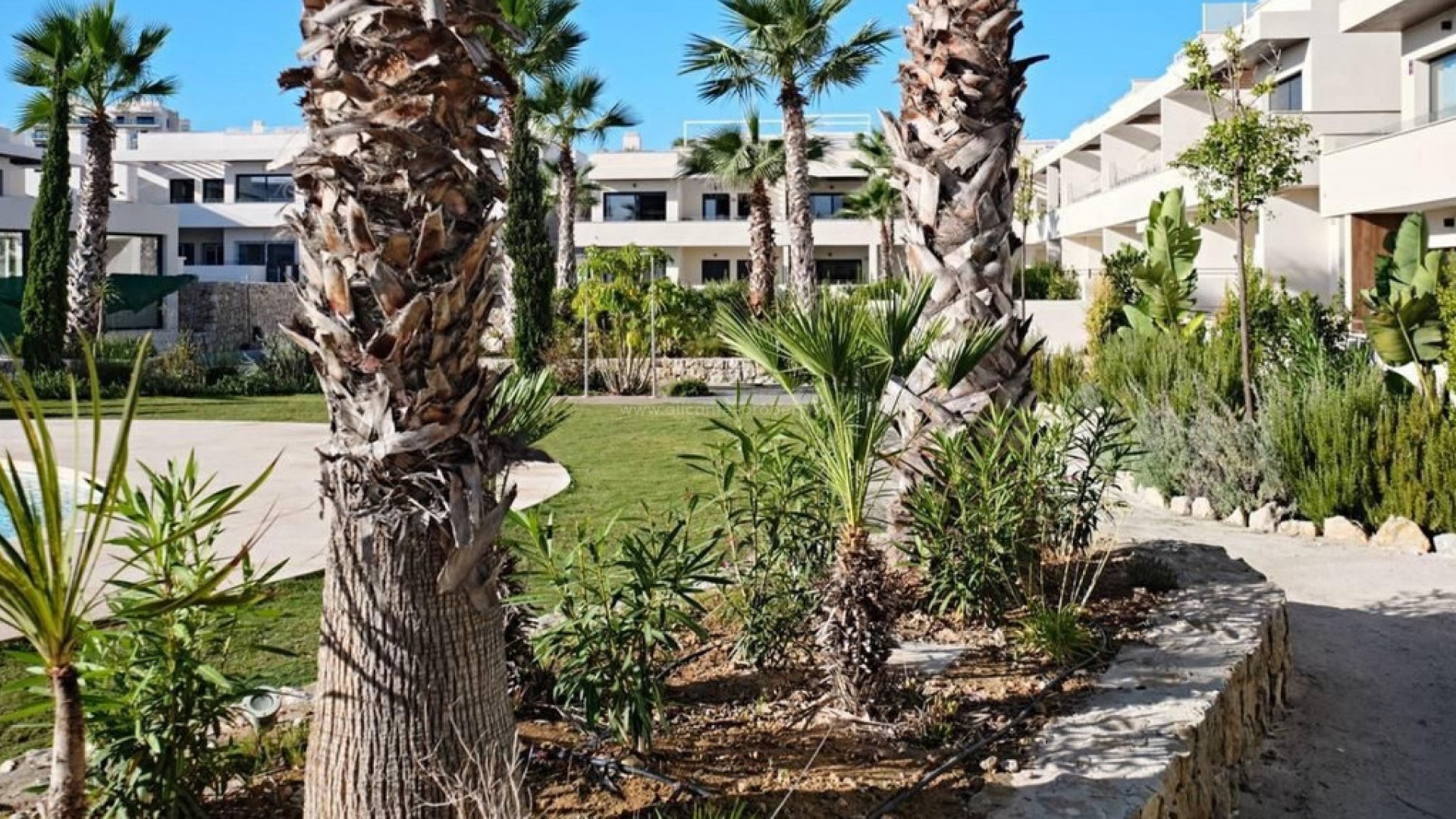 Apartment / flat in La Veleta