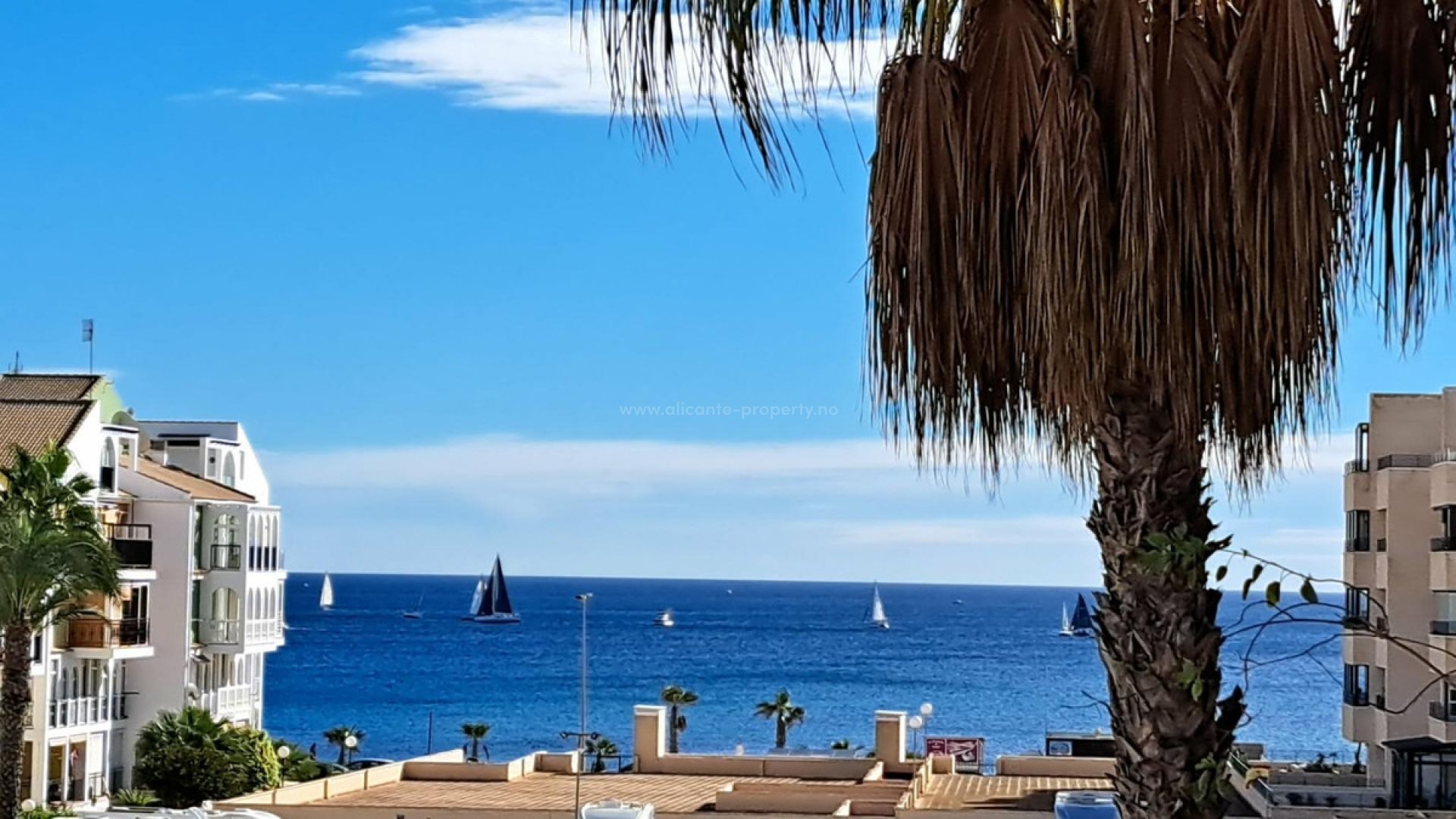 Apartment / flat in La Veleta