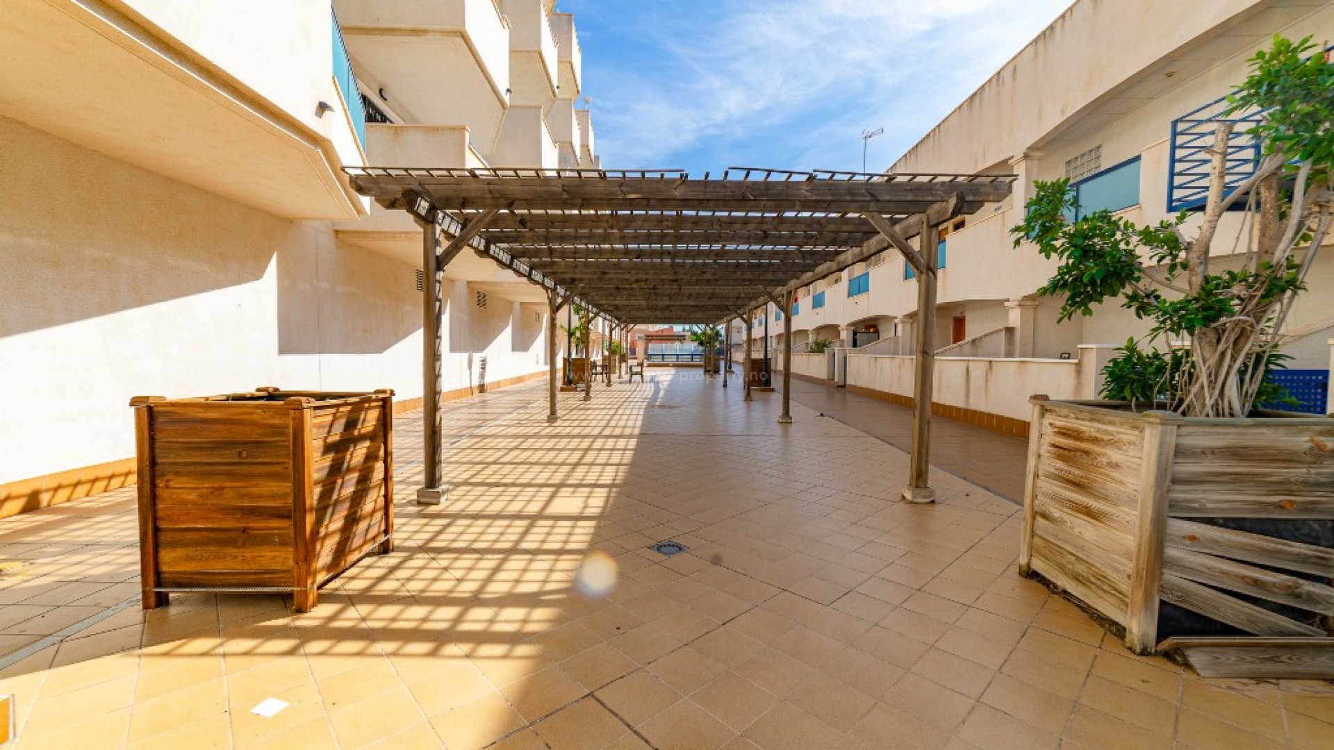 Apartment / flat in La Zenia