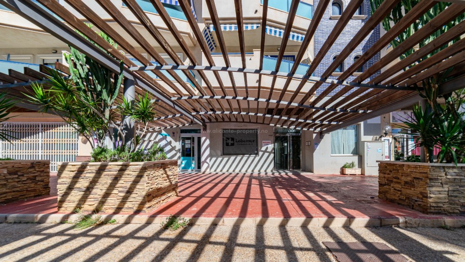 Apartment / flat in La Zenia