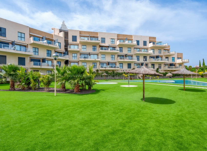 Apartment / flat in La Zenia