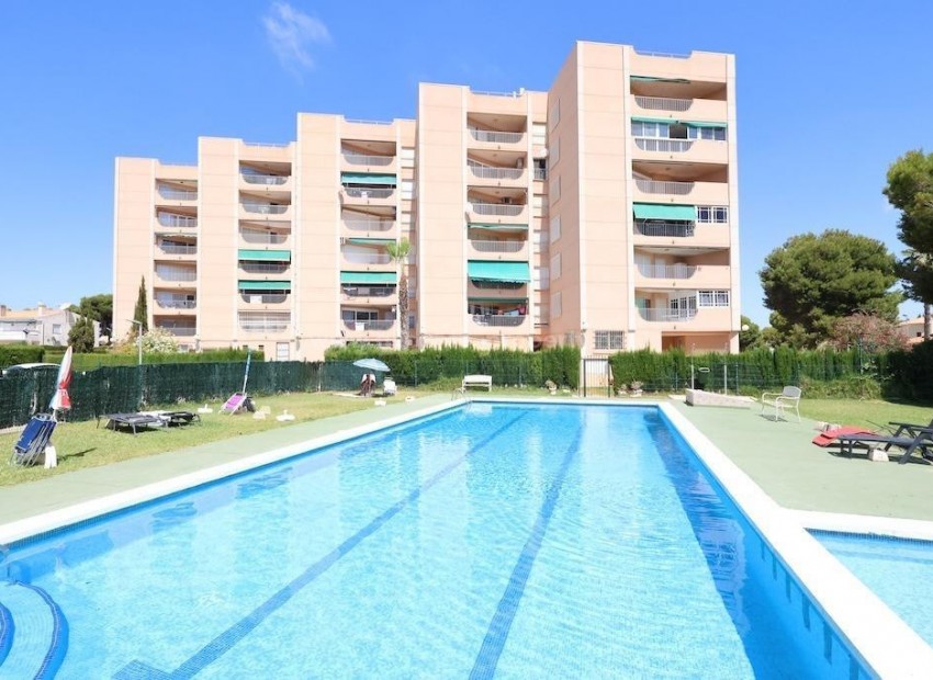 Apartment / flat in La Zenia