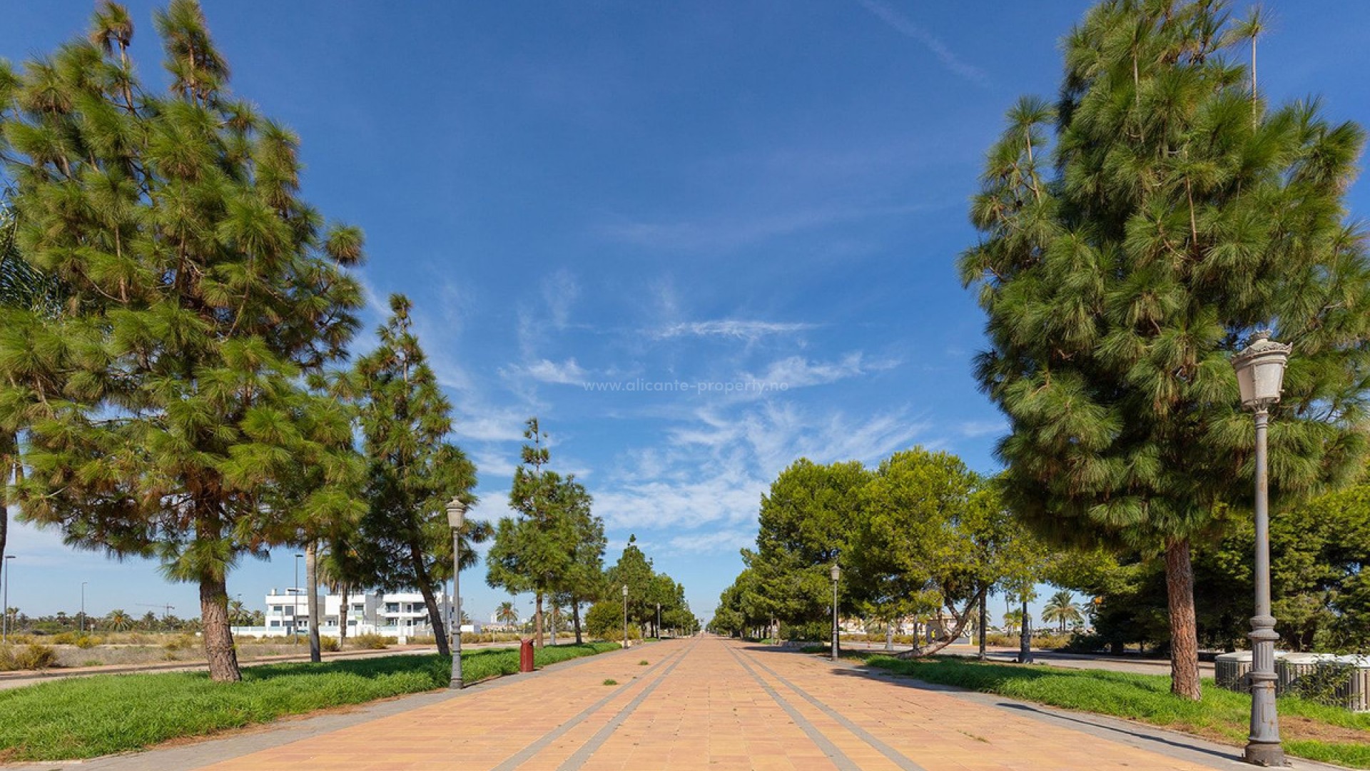 Apartment / flat in Los Alcazares Centro